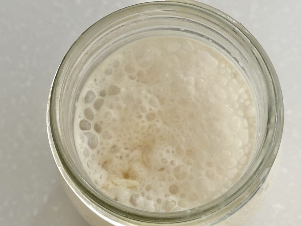 酒種酵母