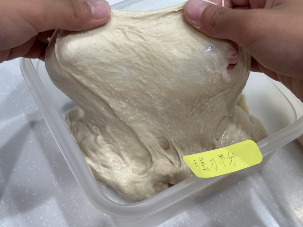 グルテン膜