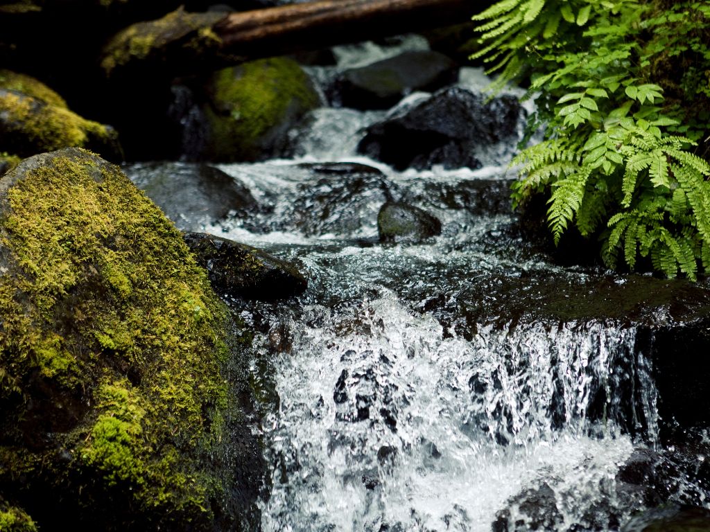 山水