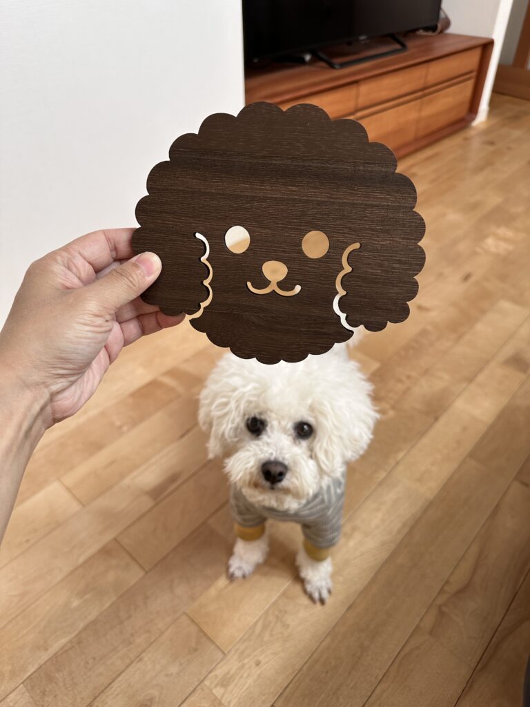 生徒様からのお土産。りおそっくりの鍋敷き