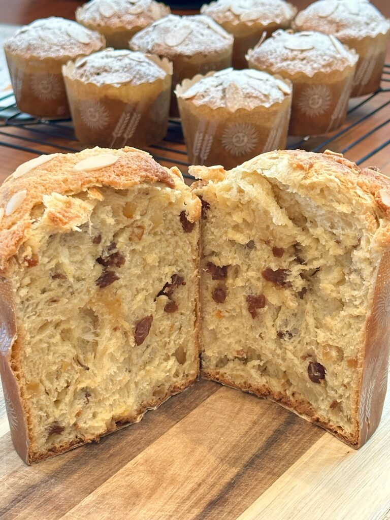 パネトーネ(大)