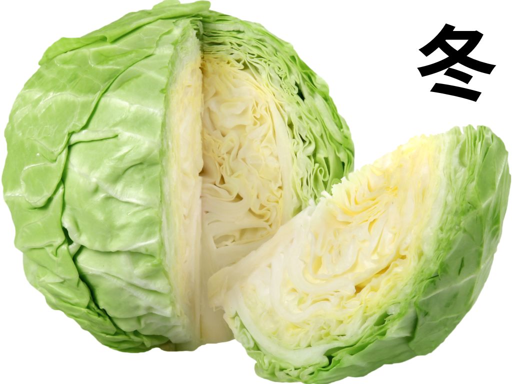 冬キャベツ