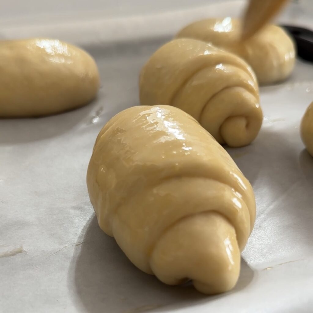 ロールパン二次発酵後