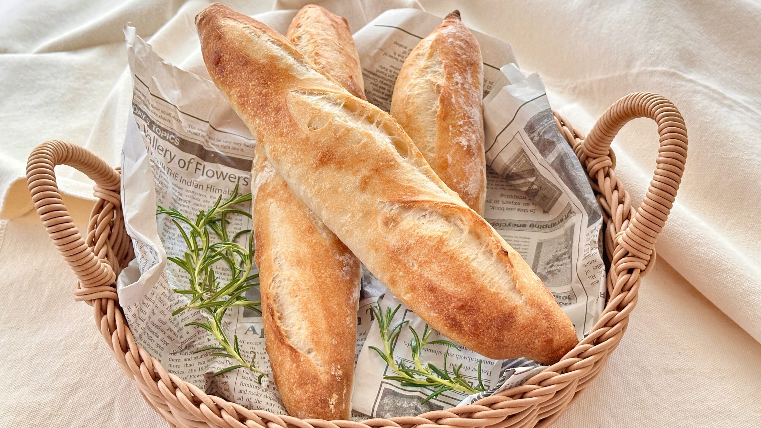麹種のフランスパン