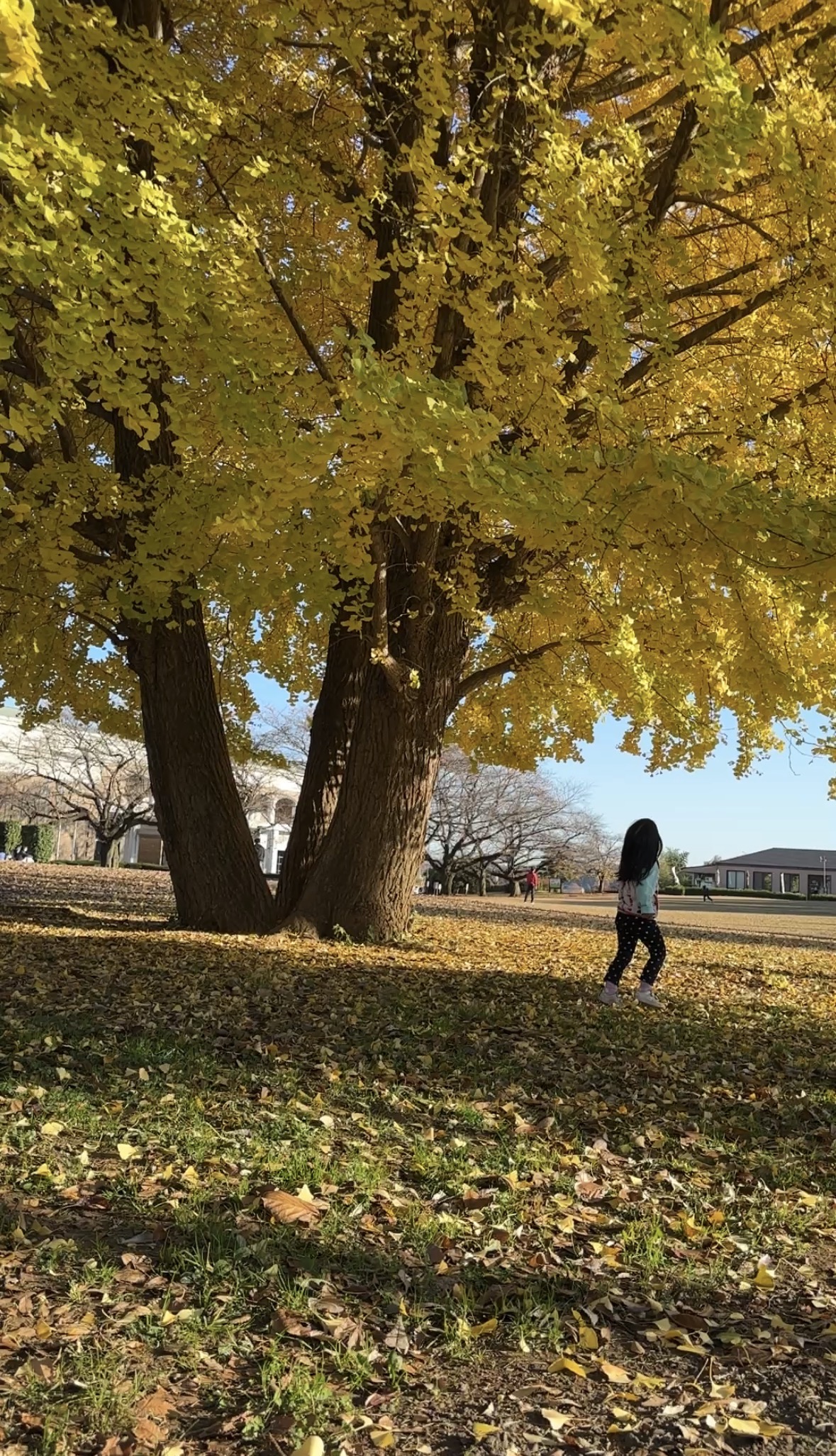 入間市博物館アリット